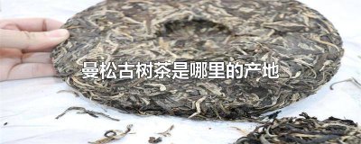 ​曼松古树茶是大叶种还是小叶种 曼松古树普洱茶
