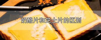 ​奶酪片和芝士片的区别在哪 奶酪片和芝士碎有什么区别