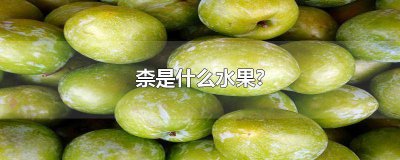 ​奈李是什么水果图片 奈李是什么水果是李子吗 奈李的功效与作用