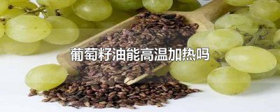 ​葡萄籽油对身体有害吗 葡萄籽油吃了有什么好处