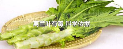 ​莴苣叶子有毒吗? 毒莴苣长什么样