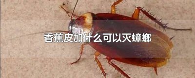 ​香蕉皮加什么可以驱蟑螂 香蕉皮加什么能灭蟑螂