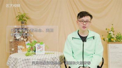 ​凤凰花象征什么 凤凰花象征什么精神