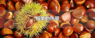 ​板栗的热量高吗减肥能吃吗 板栗的热量高吗