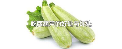 ​吃西葫芦的害处 吃西葫芦对身体有好处吗