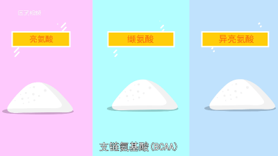 ​bcaa减脂怎么吃 bcaa如何吃