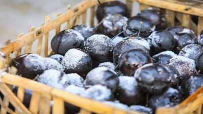 ​自制冻梨不黑是什么原因 冻梨不黑是什么原因造成的