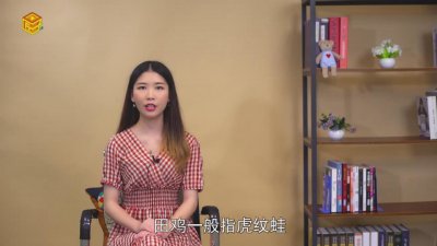 ​田鸡是什么鸟 田鸡是什么样的图片