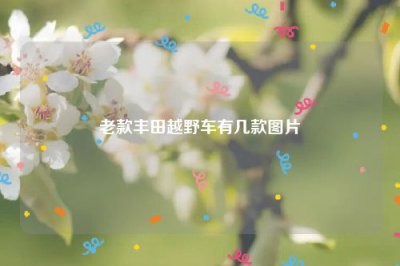 ​老款丰田越野车有几款图片