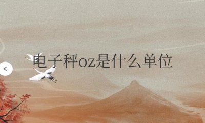 ​电子秤oz是什么单位怎么改克