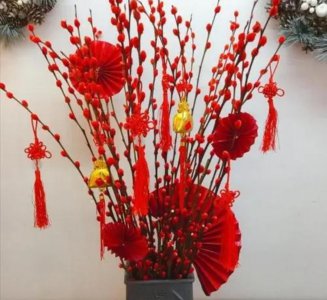 ​红色银柳是干养还是水培（年宵花银柳要水养吗）