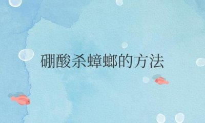 ​硼酸杀蟑螂的方法？真的管用吗？