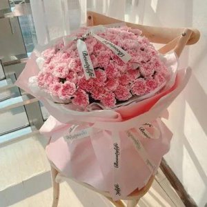 ​给老人送花应该送什么花好