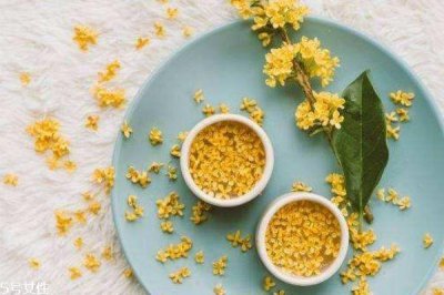 ​桂花可以做成什么食物 桂花做的食物有什么功效