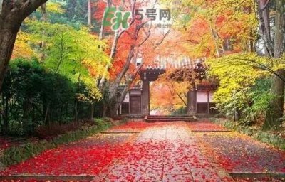 ​白露是寒露吗？白露和寒露的区别
