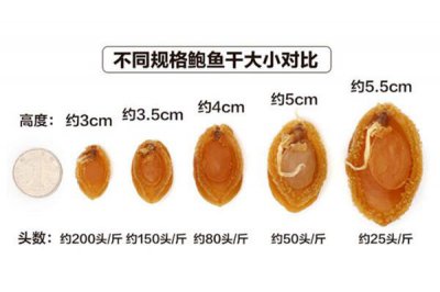 ​干鲍鱼头数越多越好吗 头数越多价格越便宜