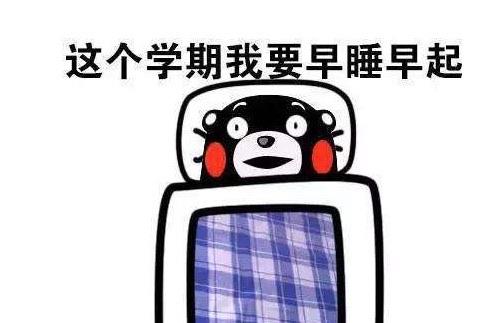 热梗计划通是什么意思 计划通梗的出处是什么  3