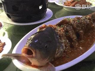 活叫驴堪称美食界的扛把子，看到这残忍的场景我真不敢吃！