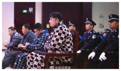 ​《扫黑风暴》原型案件（三） ：湖南文烈宏涉黑案