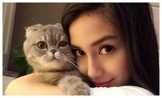 范冰冰的猫，刘亦菲的猫，baby的猫，都没有他的这三只猫名气