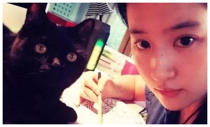 范冰冰的猫，刘亦菲的猫，baby的猫，都没有他的这三只猫名气