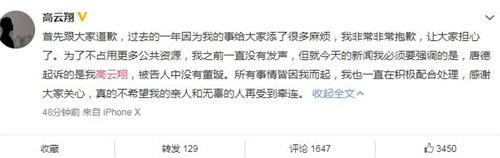 高云翔 董璇被起诉？高云翔回应起诉传闻：起诉的是我，没有董璇
