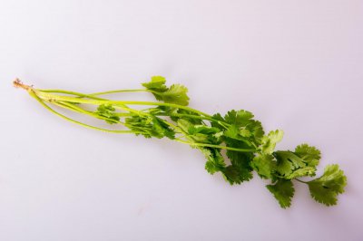 ​香菜煮水的功效与作用，香菜水的功效与作用