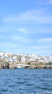 ​花鸟岛的夏天是什么样的