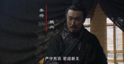 ​魏冉是个什么样的人，魏冉对秦国的发展有什么贡献？