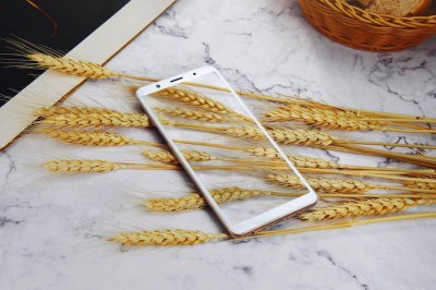 ​vivo X20到底怎么样值得买么？