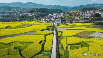 ​三农问题探讨：乡村振兴的关键是什么？三点不容忽视