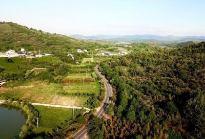 ​被誉为江苏最美自驾公路的溧阳1号公路，到底是什么样？值得去吗