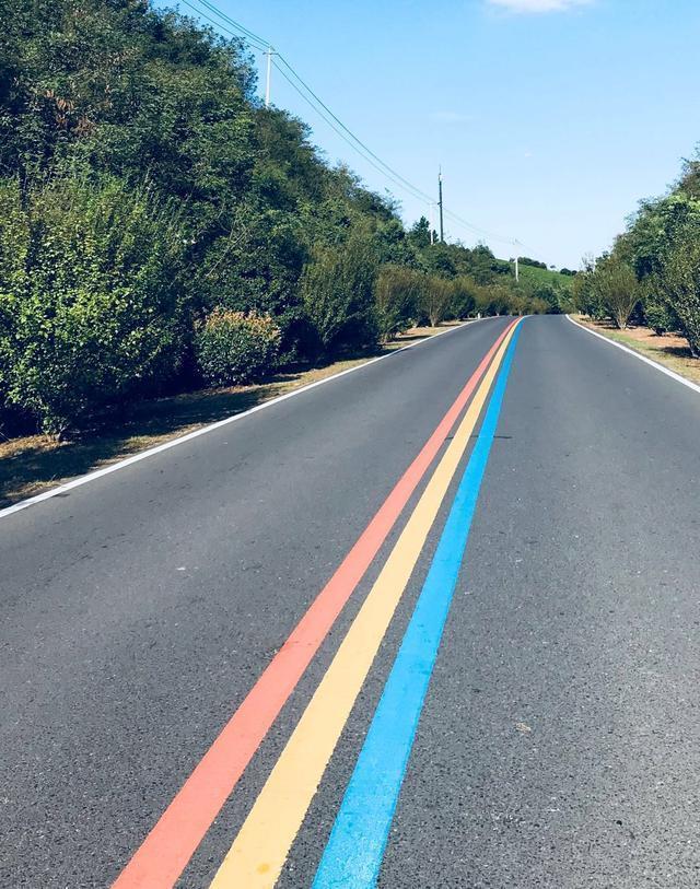 被誉为江苏最美自驾公路的溧阳1号公路，到底是什么样？值得去吗