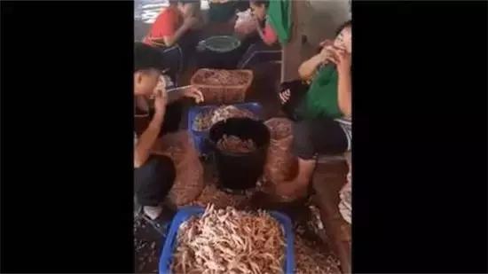 还在吃鸡爪？4000斤毒鸡脚被查获，竟用这种东西来浸泡！