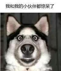 还在买“外贸尾单”？你穿的“外贸尾单”可能是从他们身上扒下来