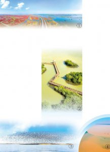 ​黄河口  河海交汇处，湿地气象新（美丽中国·大美湿地④）