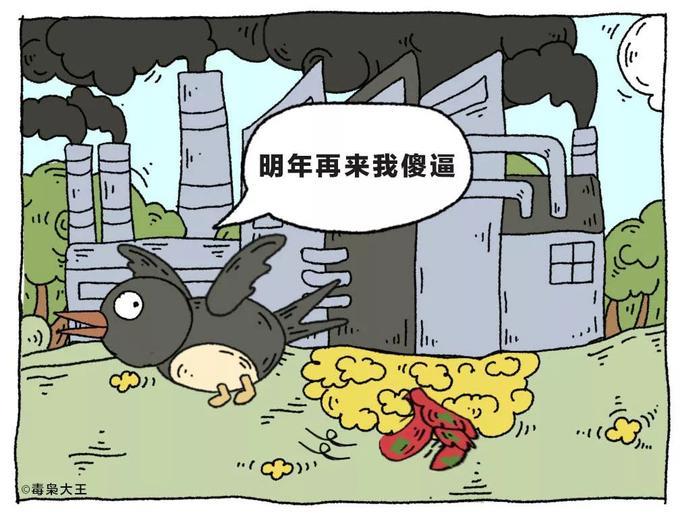 小燕子，穿花衣