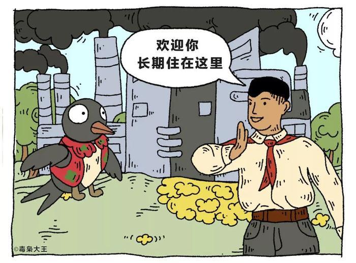 小燕子，穿花衣