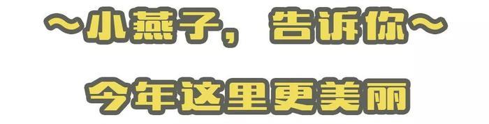小燕子，穿花衣
