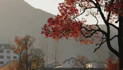 ​内心阴暗的人，都喜欢做这几件事，属于“黑暗人格”