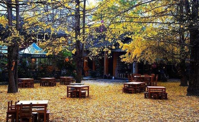 相信有很多人对上面都说着要拥有一场奋不顾身的爱情，如果没有