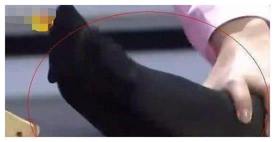 “杨幂脚臭”的传闻原来是这么来的，小编带你深扒，快来看看吧