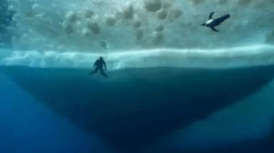 ​“深海恐惧症”测试图：逆向图压抑着脑神经，不敢喘气