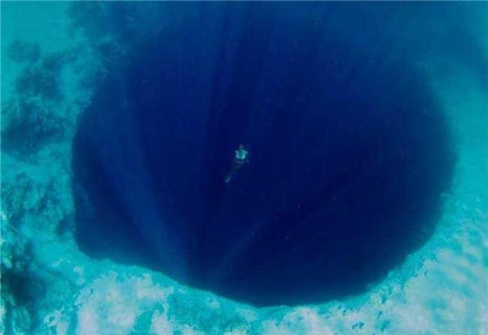 “深海恐惧症”测试图：逆向图压抑着脑神经，不敢喘气