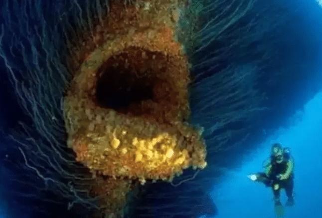“深海恐惧症”测试图：逆向图压抑着脑神经，不敢喘气