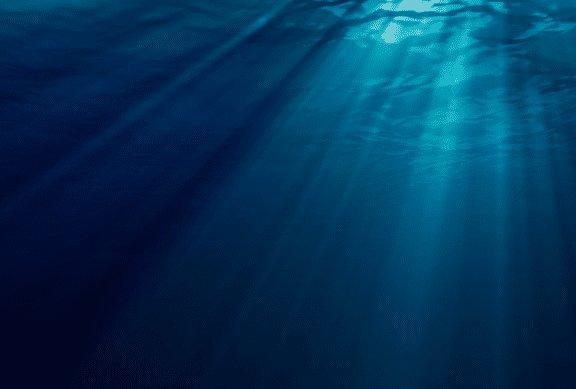 “深海恐惧症”测试图：逆向图压抑着脑神经，不敢喘气