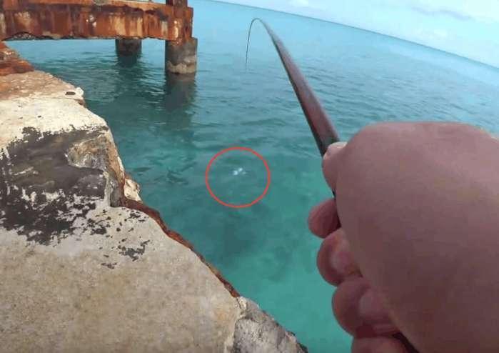 海边钓鱼收获大眼红色怪鱼, 看清后眼睛瞬间亮了!