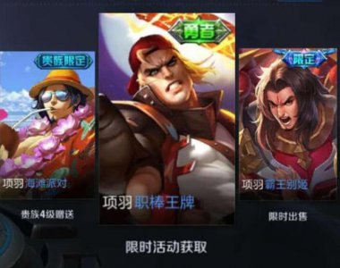 ​项羽：6个皮肤其中四款限定，孙悟空：三个，图四：一个但很稀有