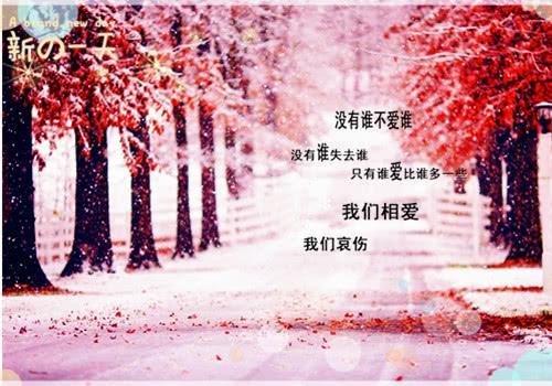 唯美意境雪景图片_雪花飘落的美丽风景