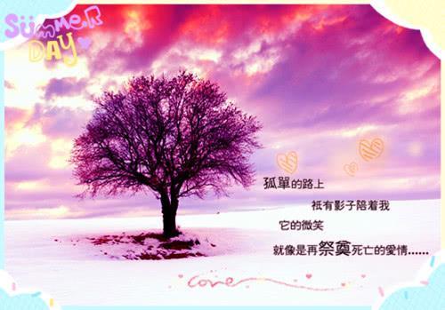 唯美意境雪景图片_雪花飘落的美丽风景